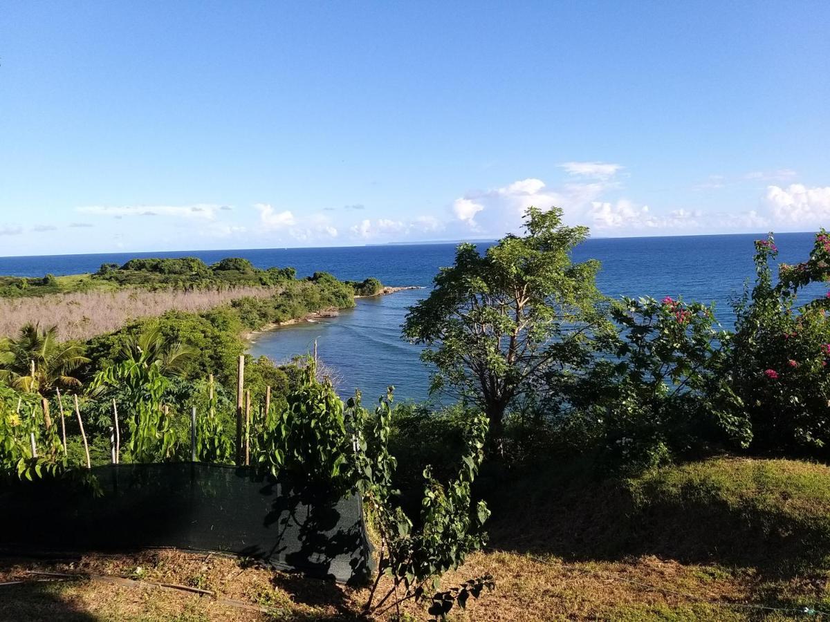 Aquaverde Eco Et Confort- Bas De Villa Avec Jardin Et Parking Le Gosier  Luaran gambar